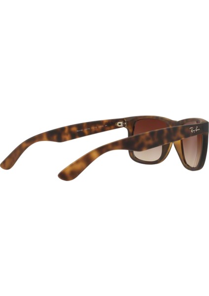 Güneş Gözlüğü RB4165 55 710/13 indirimleri