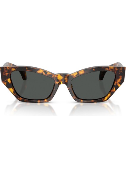 Güneş Gözlüğü VE4488U 53 551487 indirimleri