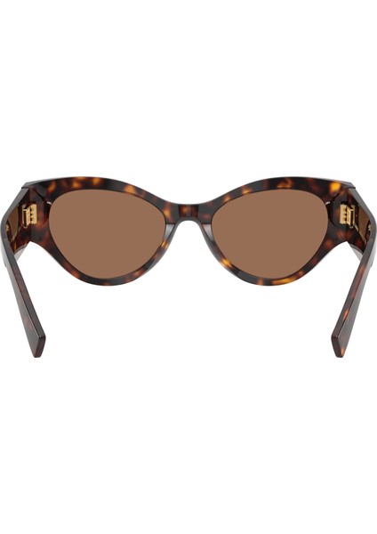 Güneş Gözlüğü DG4480 53 502/73 fırsatları