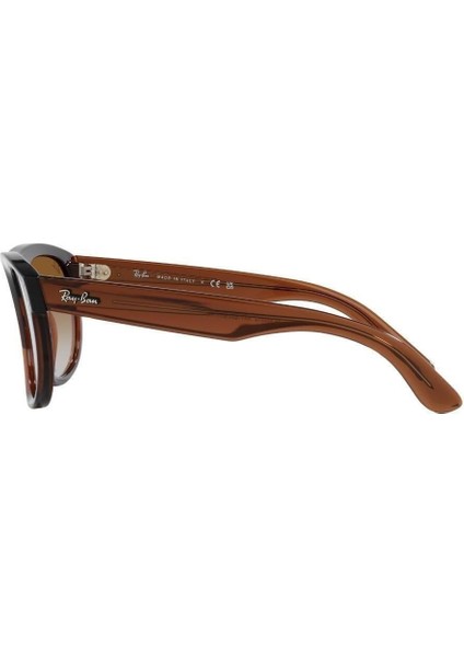 Güneş Gözlüğü RBR0501S 56 6709CB indirimleri