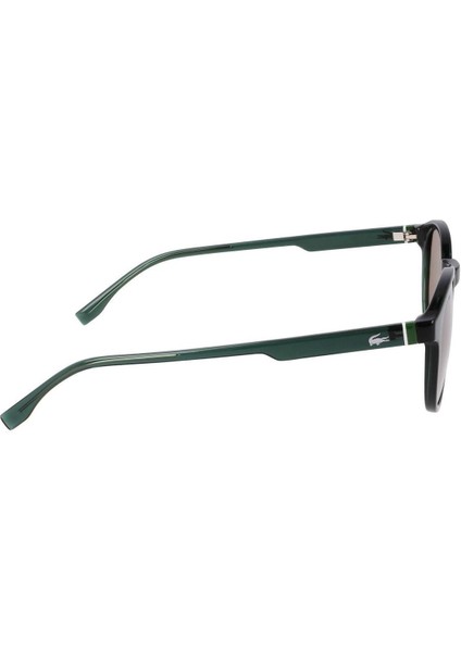 Güneş Gözlüğü L6030S-301 modelleri