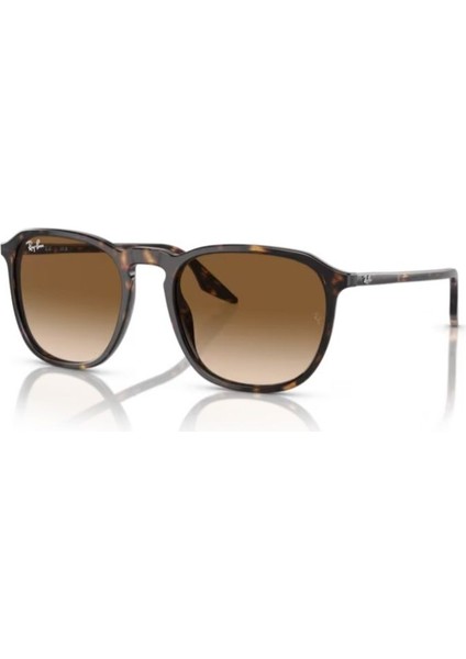 Güneş Gözlüğü RB2203 55 902/51