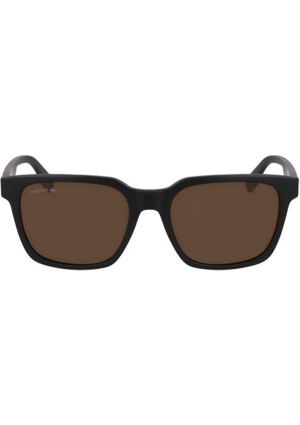 Güneş Gözlüğü L6028S-002 modelleri