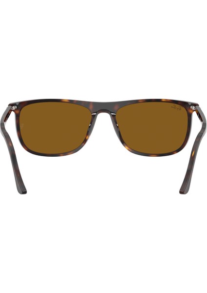 Güneş Gözlüğü RB2216 61 902/33 modelleri