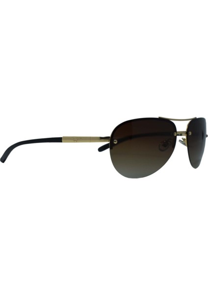 GÜNEŞ GÖZLÜĞÜ (kahve) IN3606 C35 fiyatları