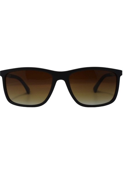 Güneş Gözlüğü LEE1462 C5