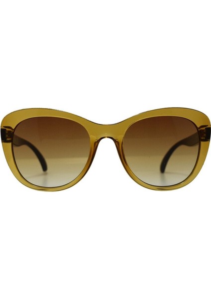 Güneş Gözlüğü ELG1898 C2