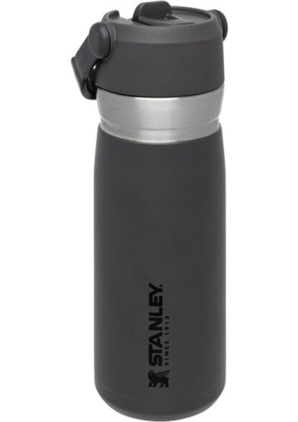 GO Iceflow Pipetli Paslanmaz Çelik Soğuk Su Termosu 0.65 LT fırsatları