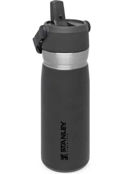 GO Iceflow Pipetli Paslanmaz Çelik Soğuk Su Termosu 0.65 LT indirimleri