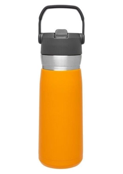 Go Iceflow Flip Straw Su Termosu 0,65 L Turuncu indirimleri