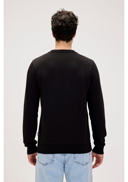 24.02.12.022 Splashy Crewneck Erkek Sweatshirt fiyatları