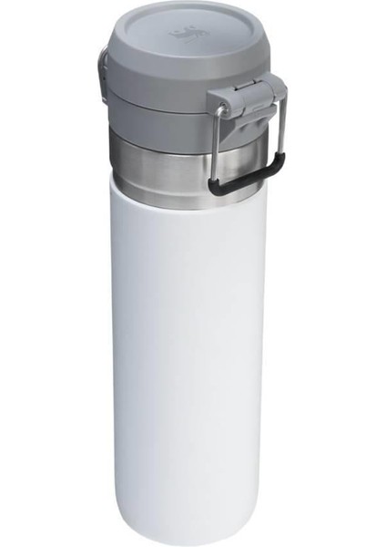 The Quick Flip Paslanmaz Çelik Soğuk Su Termosu 0.70 Lt fiyatları