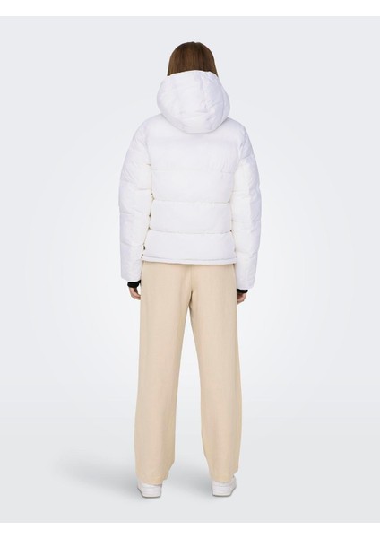 Onlann Premıum Puffer Jkt Regular Otw Kadın Mont 15287909 fiyatları