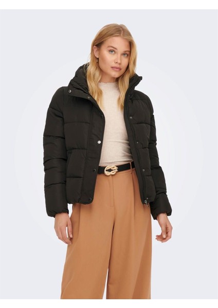 Kadın Jacket Mont 15196546 fiyatları