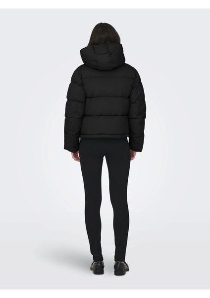 Onlann Premium Puffer Jkt Short Otw Kadın Mont fiyatları