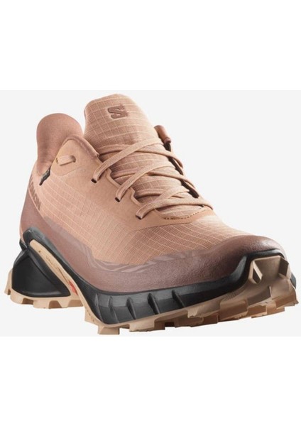 ALPHACROSS 5 GORE-TEX Kadın Koşu Ayakkabısı Cork L47595100 fiyatları
