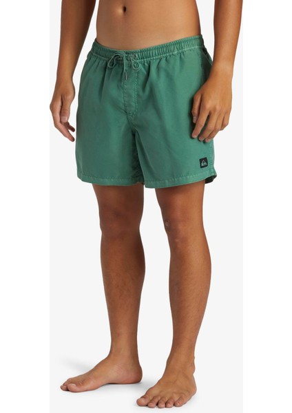 Everyday Surfwash Volley 15 Erkek Deniz Şortu fiyatları