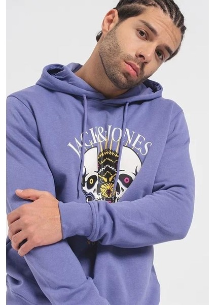 Jordaemon Sweat Hood Fst Erkek Sweatshirt fiyatları
