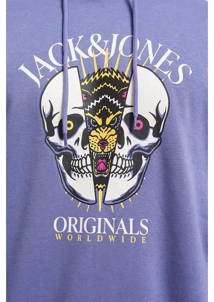 Jordaemon Sweat Hood Fst Erkek Sweatshirt indirimleri