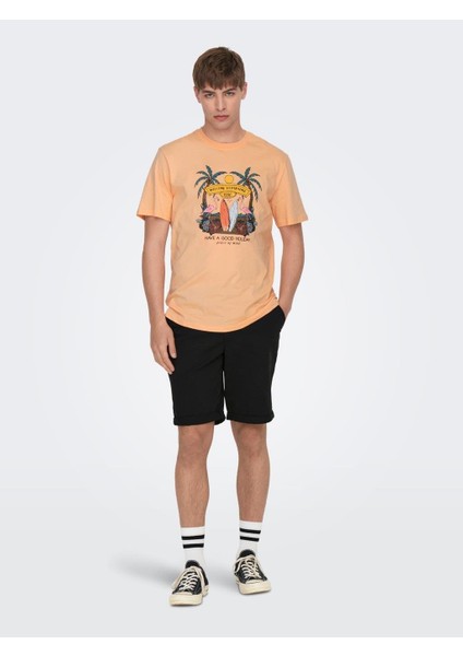 Erkek Chino Şort Onspeter Reg Twıll 4481 Shorts 22024481 modelleri