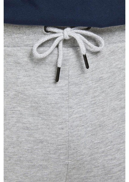 Jpstshark Jjsweat Shorts At Sn Gri Erkek Şort 12182595-Light fırsatları