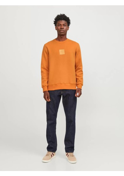 Jprblaleo Sweat Crew Neck Erkek Sweatshirt fiyatları