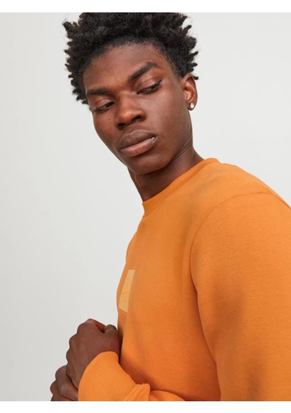 Jprblaleo Sweat Crew Neck Erkek Sweatshirt fırsatları