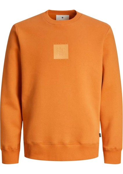 Jprblaleo Sweat Crew Neck Erkek Sweatshirt indirimleri
