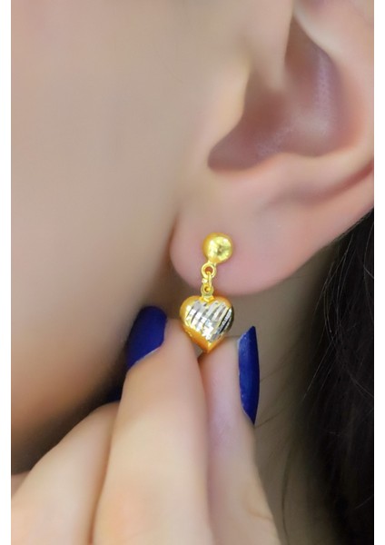 Aytekgold 14 Ayar Sallantılı Kalp Küpe modelleri