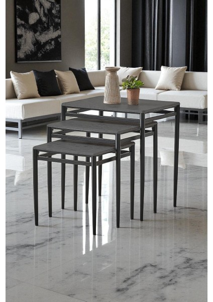 Damrin Serisi Gri Mermer 1. Sınıf Mebran Mdf 3’lü Zigon Sehpa Takımı - Siyah Ayak