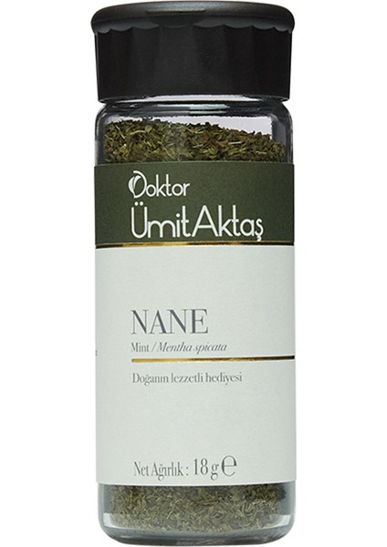 Nane – Mint – Mentha Spicata