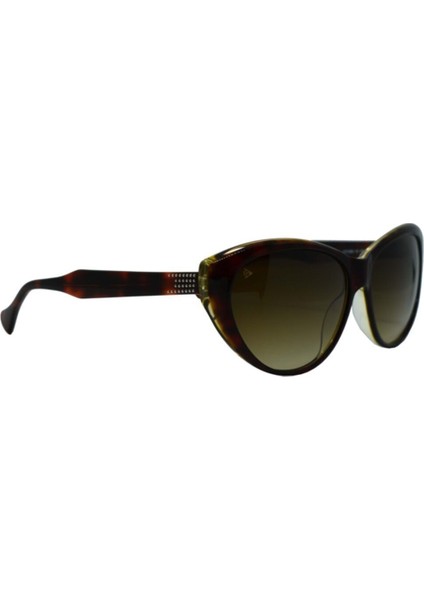 Güneş Gözlüğü DU3309 C2 modelleri