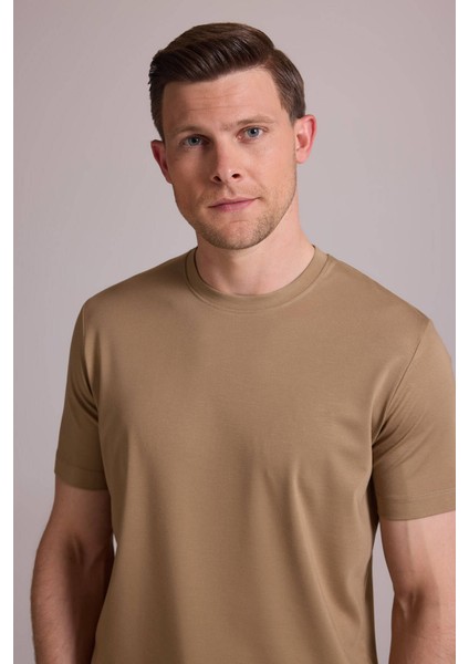 Erkek Vizon Regular Fit Bisiklet Yaka T-Shirt