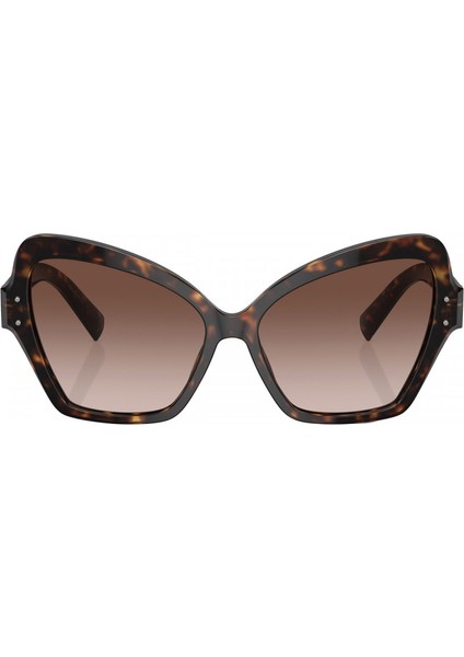 Güneş Gözlüğü DG4463F 56 502/13