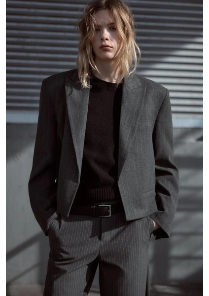 Allbucks Zara, Ince Çizgili Vatkalı Crop Blazer Ceket ABZRA1112