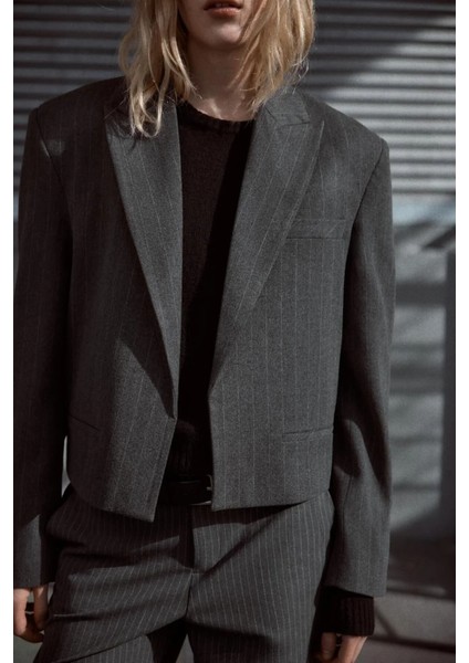 Allbucks Zara, Ince Çizgili Vatkalı Crop Blazer Ceket ABZRA1112 fiyatları