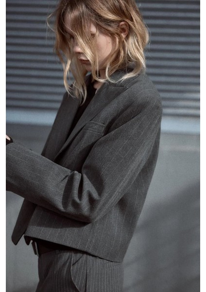 Allbucks Zara, Ince Çizgili Vatkalı Crop Blazer Ceket ABZRA1112 modelleri