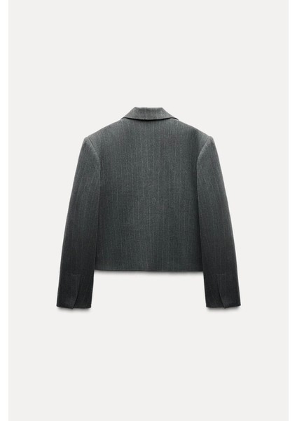 Allbucks Zara, Ince Çizgili Vatkalı Crop Blazer Ceket ABZRA1112