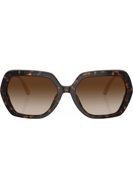 Güneş Gözlüğü DG4468BF 58 501/8G