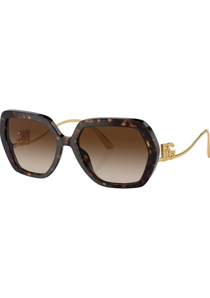 Güneş Gözlüğü DG4468BF 58 501/8G fiyatları