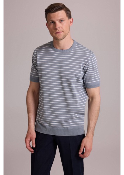Erkek Mavi Regular Fit Bisiklet Yaka Çizgili Tişört