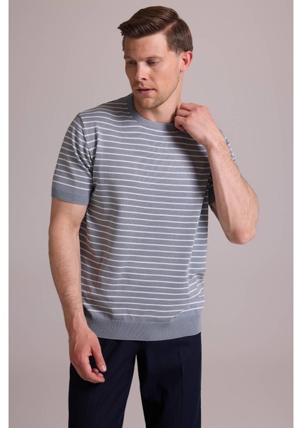 Erkek Mavi Regular Fit Bisiklet Yaka Çizgili Tişört fiyatları