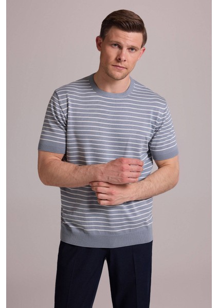 Erkek Mavi Regular Fit Bisiklet Yaka Çizgili Tişört modelleri
