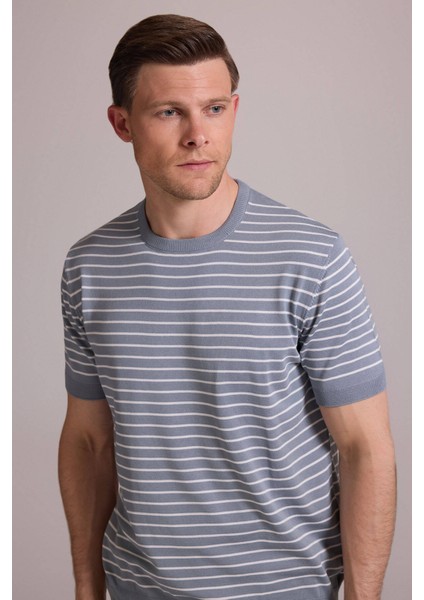 Erkek Mavi Regular Fit Bisiklet Yaka Çizgili Tişört indirimleri