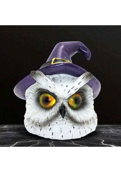 Gecenin Muhafızı Baykuş Çok Renkli LED Vip Şık