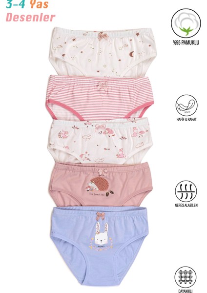 Özkan 41603 5'li Paket Kız Çocuk Karışık Renkli Desenli Pamuklu Yumuşak Slip Külot fiyatları