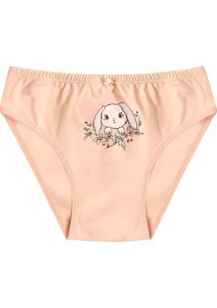 Özkan 41603 5'li Paket Kız Çocuk Karışık Renkli Desenli Pamuklu Yumuşak Slip Külot fırsatları