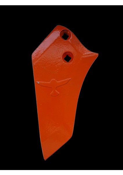 Doğanlar Parçalı Burun Simetri