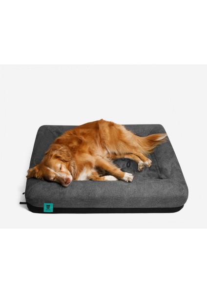 Zee.bed - Köpek Yatağı - Zee.dog modelleri