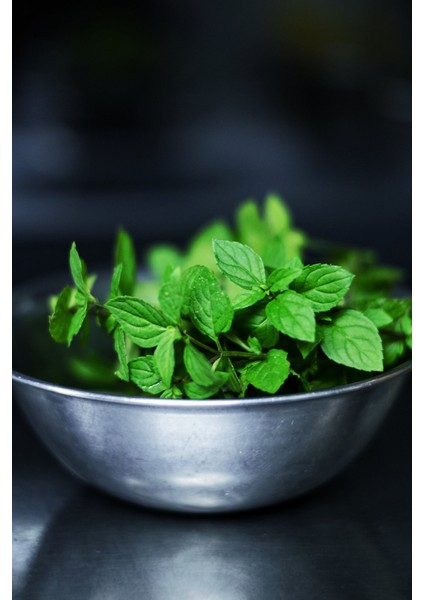 Eucalyptus Spearmint Esansı 20 ml - Premium Collection - Ifra Sertifikalı